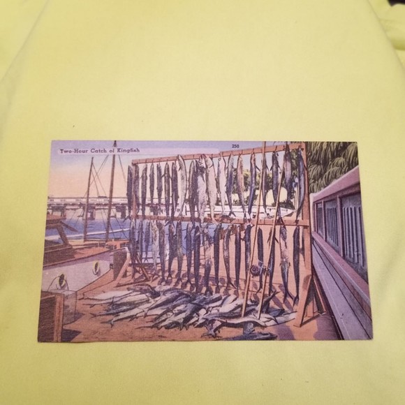 Vintage Postcard Catch of Kingfish 64855 - Picture 2 of 10